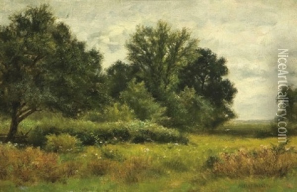 Summer Meadow Oil Painting - Albert Babb Insley