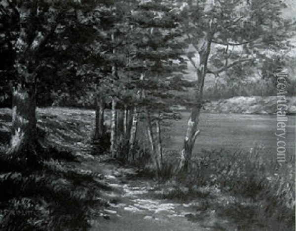Path By A Lake Oil Painting - Philip Little