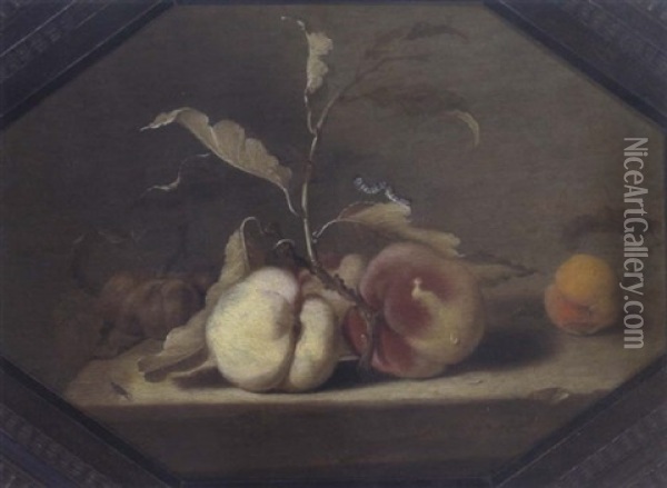 Stilleben Mit Pfirschen Und Marillen (aprikosen) Oil Painting - Jacob Frans van der Merck