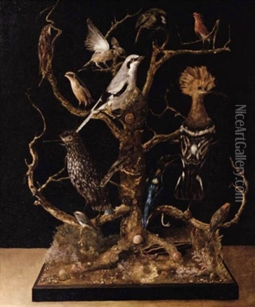 An Arrangement Of Stuffed Birds In A Tree, On A Ledge Oil Painting - Gabriel-Germain Joncherie