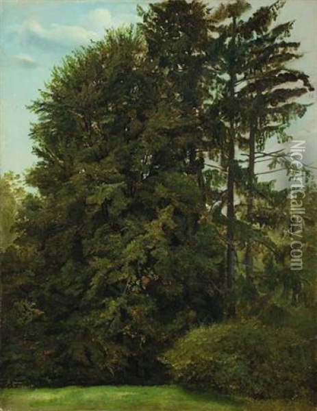 Im Grossen Garten, Dresden Oil Painting - Christian Friedrich Gille