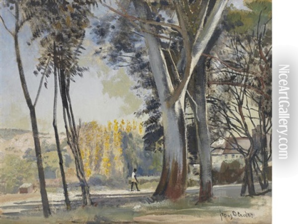 Trees With Figure In The Background Oil Painting - Frans David Oerder