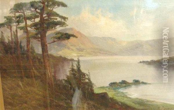 Lakeside Landscapes Oil Painting - W.A. Richards