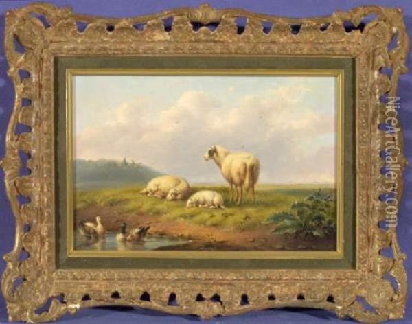 Schafe Und Enten Vor Landschaft Oil Painting - Franz van Severdonck