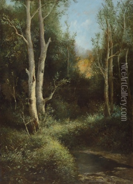 Nel Bosco Oil Painting - Francesco Capuano