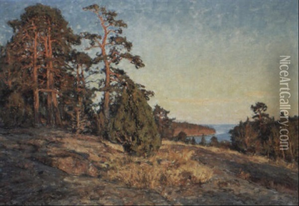 Kustlandskap Med Tallar I Sol Oil Painting - Gottfried Kallstenius