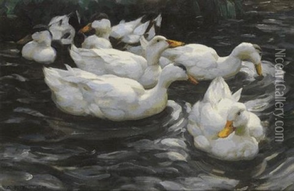 Sechs Enten Im Wasser Oil Painting - Alexander Max Koester