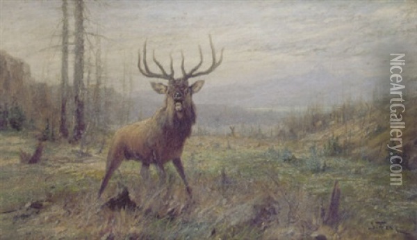 Elk In A Landscape Oil Painting - John Fery