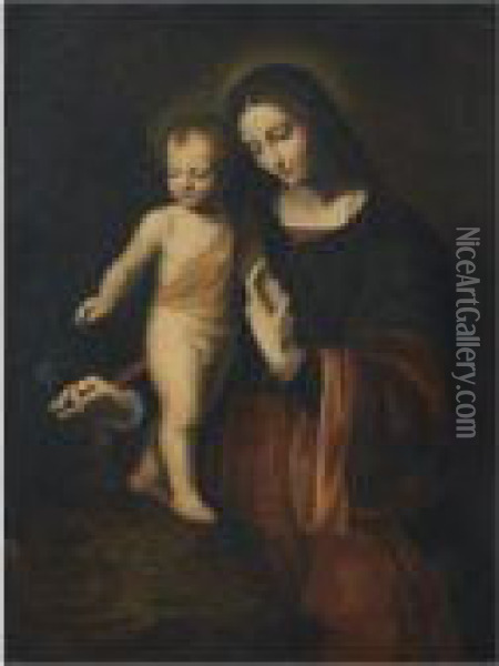 The Virgin Of The Columbine Oil Painting - Bernardino Luini