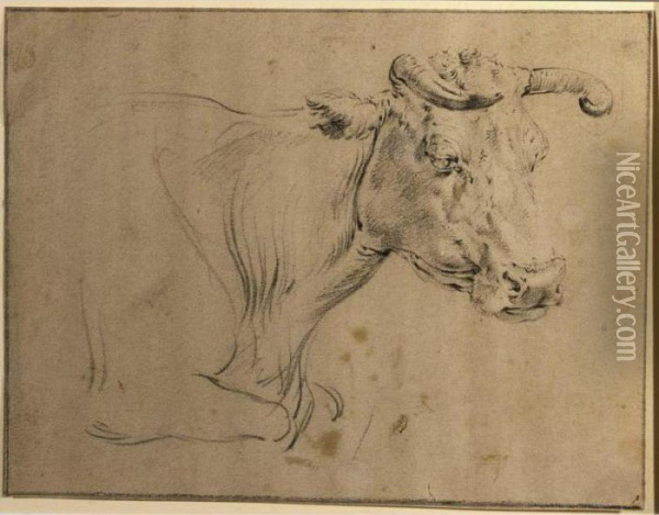Study Of A Cow Oil Painting - Paulus Potter