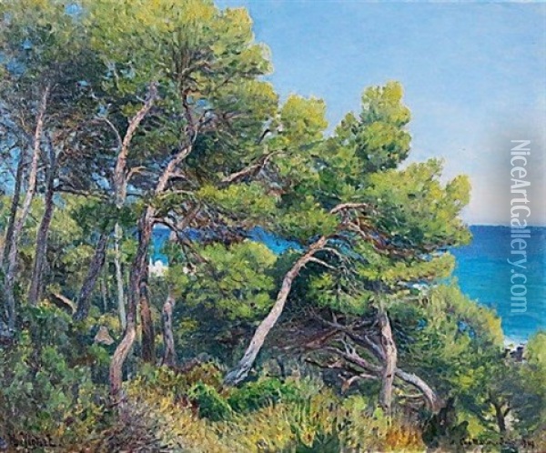 Les Pins Au Cap Martin Oil Painting - Henri Vignet