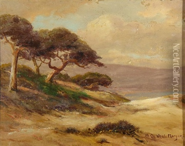Cyprus On The Monterey Beach Oil Painting - Mary Deneale Morgan