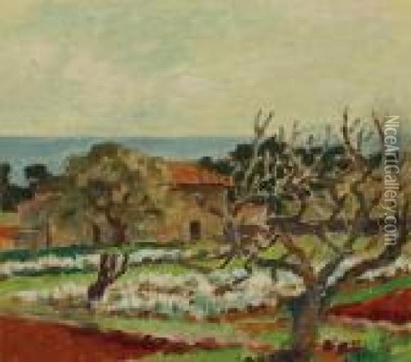 Sketch For Flower Farm, Bandol, South Of France Oil Painting - Bonny Rupert