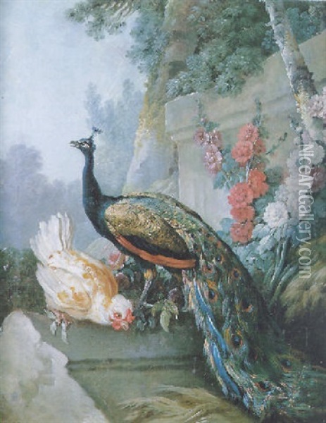 Le Paon Et Le Coq Dans Un Jardin Oil Painting - Jean Baptiste Huet