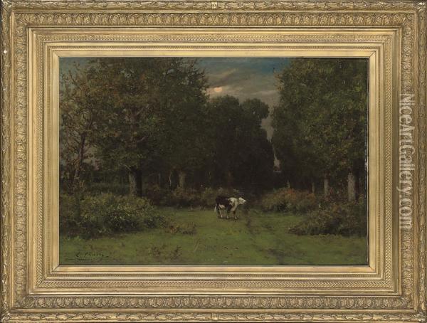 A Cow In A Woodland Clearing Oil Painting - Leonce Chabry