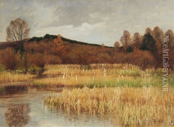 A Fish Pond Near Amlinghausen Oil Painting - Heinrich Schlotermann
