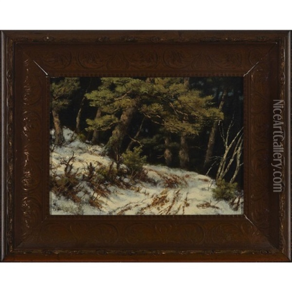 Winter Trail Through Pine Trees At Night Oil Painting - Robert M. Decker