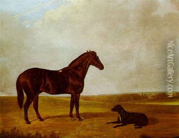 A Bay Hunter And A Black Labrador In A Landscape Oil Painting - John Dalby