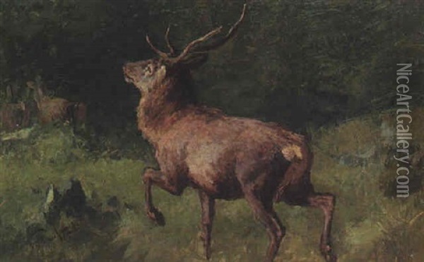 Hirschbrunft Oil Painting - Franz Xaver von Pausinger