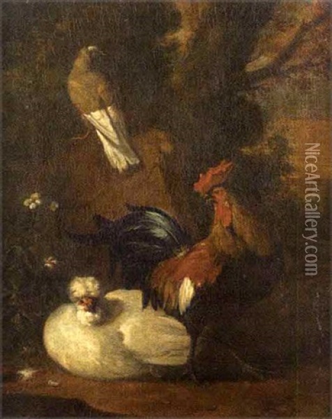 Poule, Coq Et Pigeon Oil Painting - Melchior de Hondecoeter
