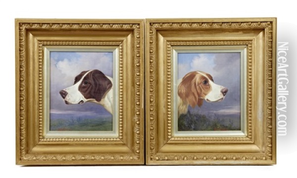 Head Of A Pointer And Head Of A Setter (pair) Oil Painting - Colin Graeme