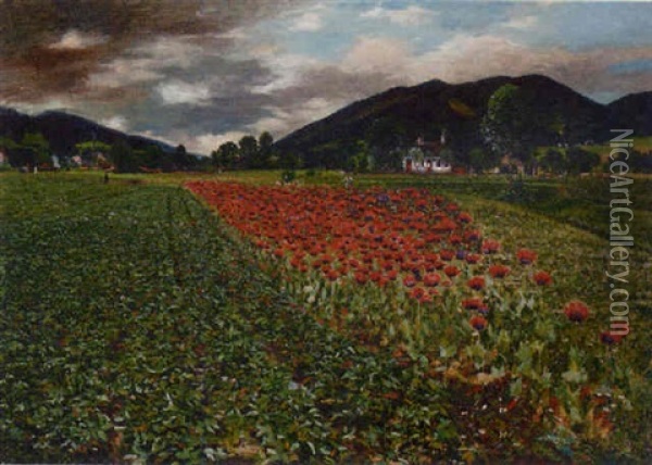 The Poppy Field Oil Painting - Wilhelm Hans Braun