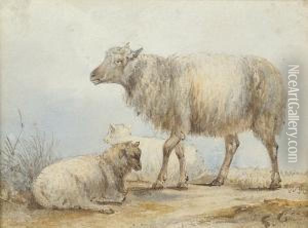 Ewe And Her Lambs Oil Painting - Sawrey Gilpin