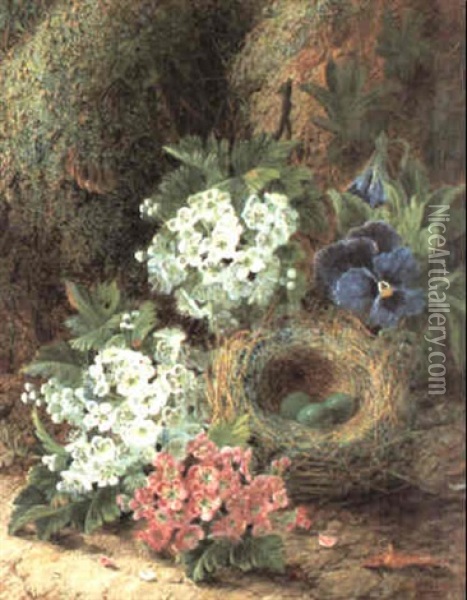 Blossom And A Bird's Nest By A Bank Oil Painting - Oliver Clare
