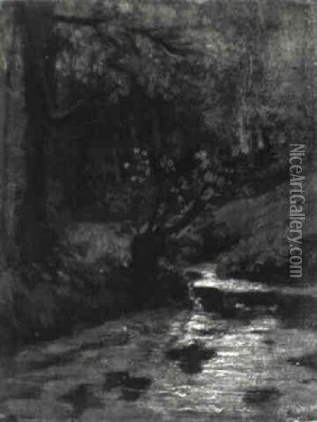 A Brook In A Forest, Oosterbeek Oil Painting - Jacob Henricus Maris