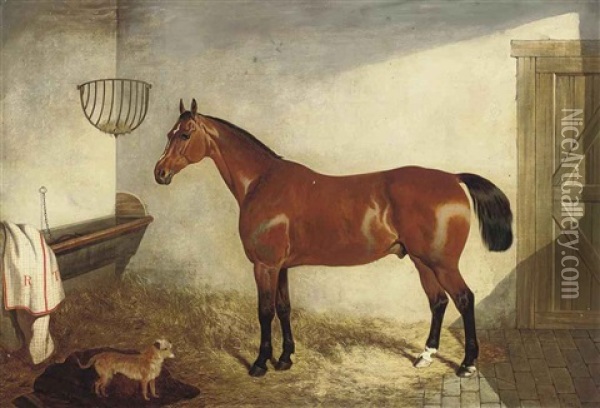 A Bay Hunter In A Stable Oil Painting - John Dalby
