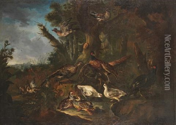 A Wooded Landscape With French Partridges, Jays, Pheasants And Woodcocks Oil Painting - Giovanni (Crivellino) Crivelli