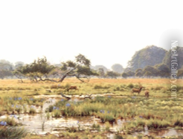 Deer In A Watermeadow Oil Painting - Wilhelm Andersen