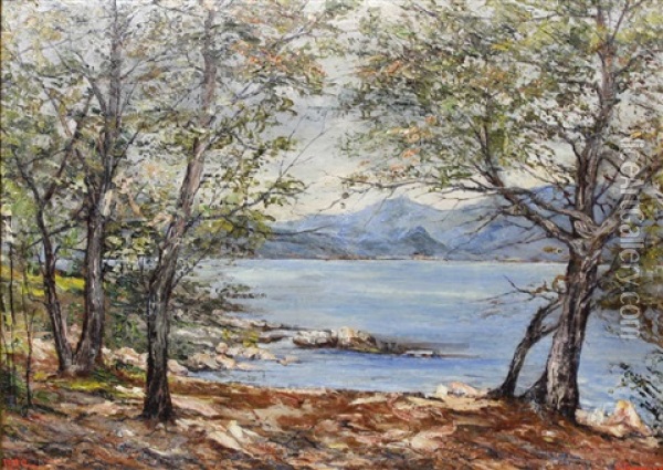 Le Lac Du Bourget Oil Painting - Simon Alexandre Toudouze