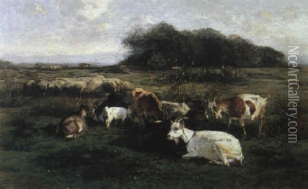 Grazing Sheep And Goats Oil Painting - Friedrich Eckenfelder