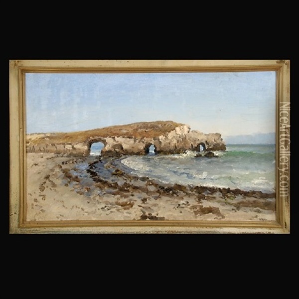 Natural Bridges, Santa Cruz Oil Painting - William Alexander Coulter