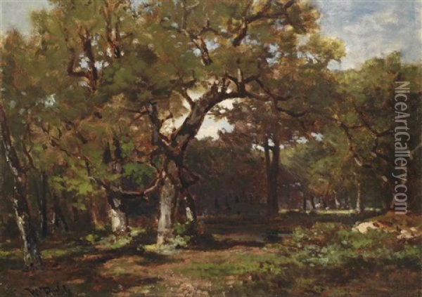 A Wooded Landscape Oil Painting - Willem Roelofs