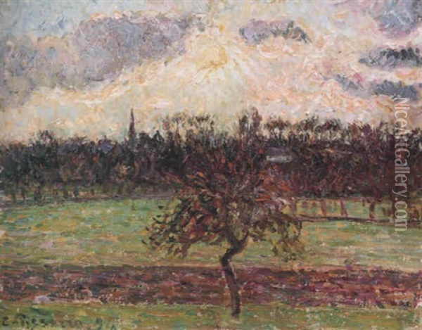 Apfelbaum Bei Eragny Oil Painting - Camille Pissarro