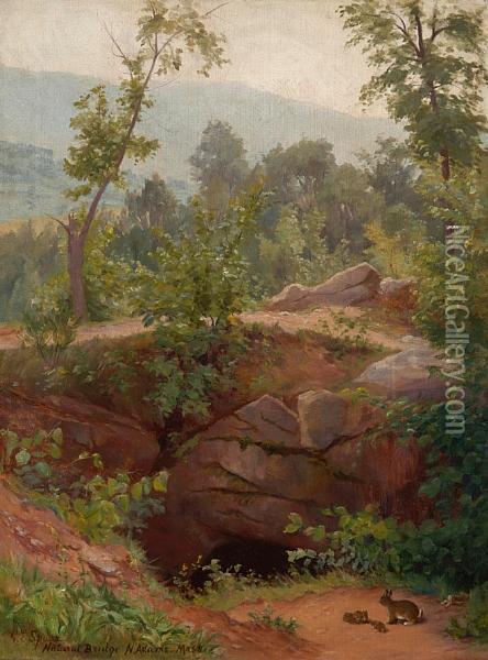 Natural Bridge N.adams, Mass. Oil Painting - Gertrude Spurr Cutts
