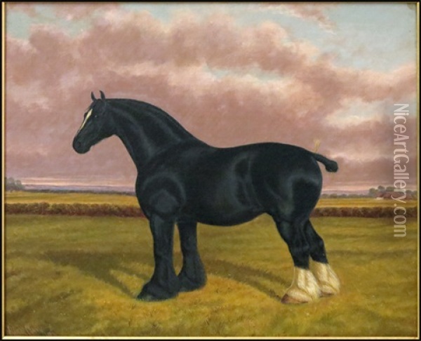 Shire Horse In Field Oil Painting - Albert Clark