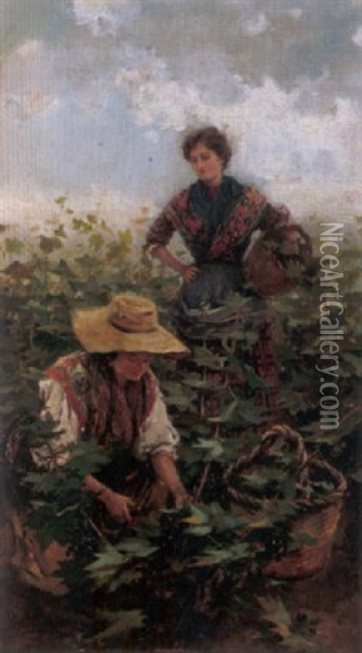 Recogiendo Uvas Oil Painting - Gabriel Puig Roda