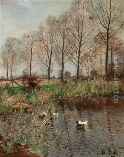 Enten Am Weiher Oil Painting - Adolf Lins