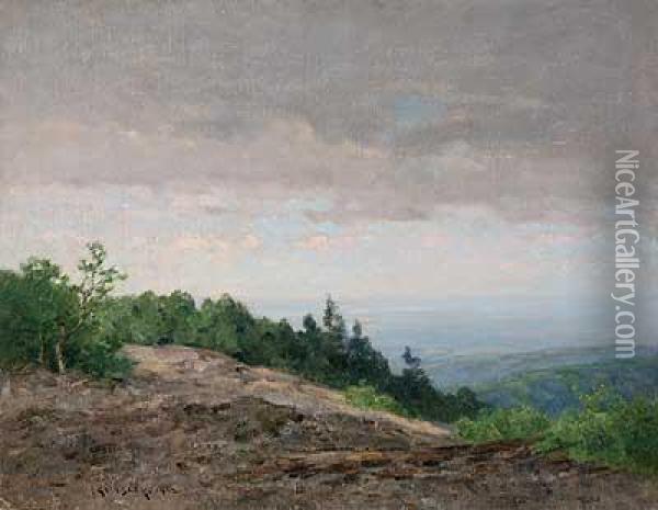 Blick In Die Mainebene Vom Altkonig Oil Painting - Nelson Gray Kinsley