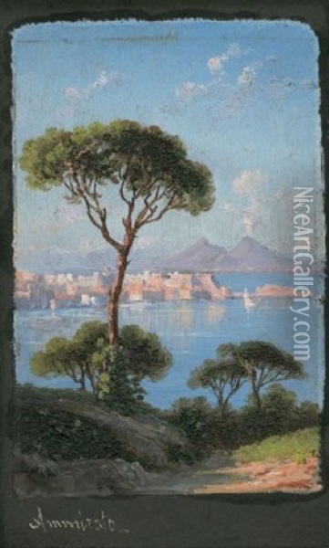 Neapel Und Umgebung (4 Works) Oil Painting - Domenico Ammirato