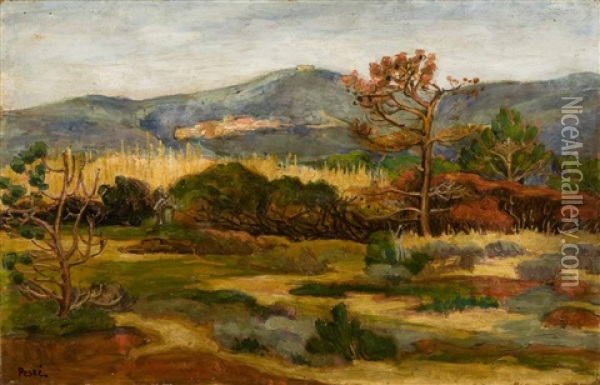 Surroundings Of Bormes Les Mimosas Oil Painting - Jean Peske