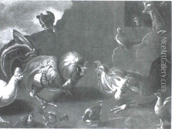 Cockfight Oil Painting - Melchior de Hondecoeter
