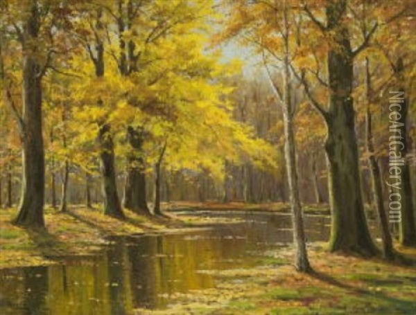 Bachlauf Im Herbstwald Oil Painting - Walter Moras