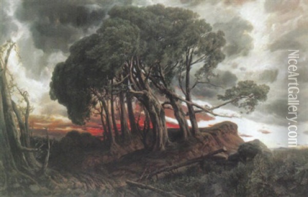 Prachtvoller Sonnenuntergang Mit Malerischer Baumgruppe Oil Painting - Josef Haunstetter