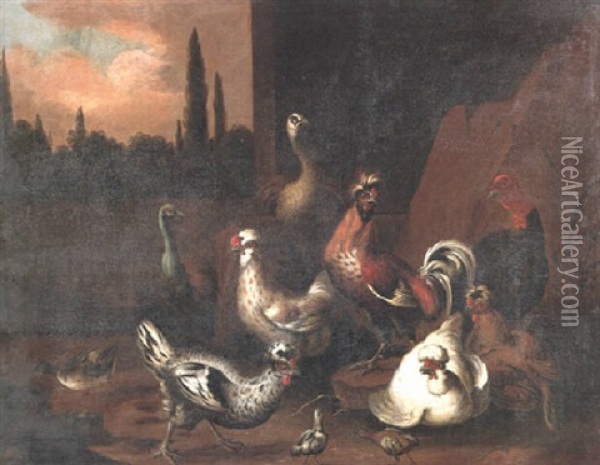 A Peacock, A Peahen, A Cockerel And Other Fowl Oil Painting - Catharina Ijkens