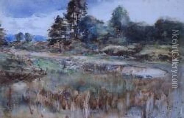 Moorland Oil Painting - Ralph William Hay