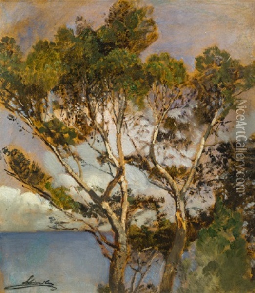 Trees By The Ocean Oil Painting - Emil Jacob Schindler